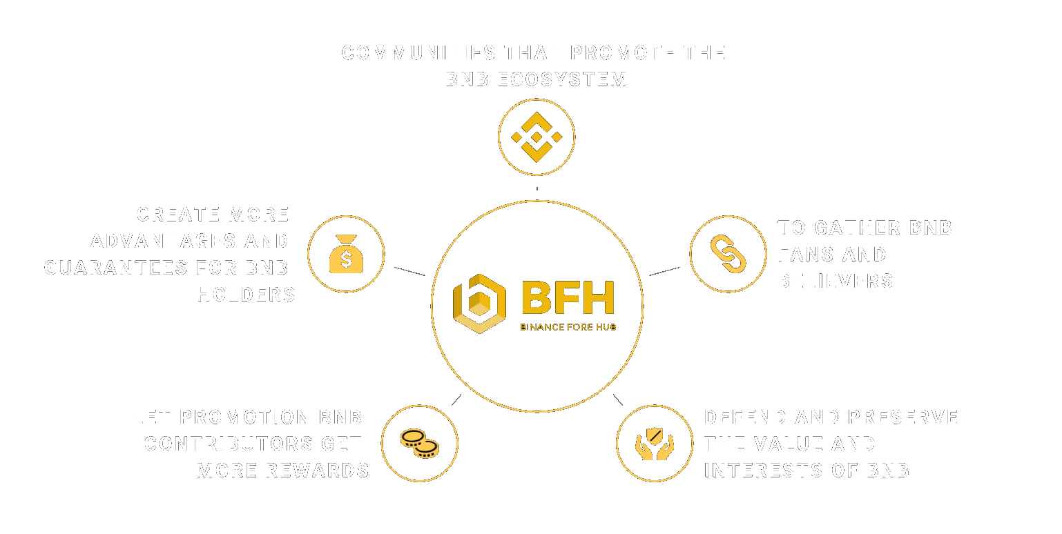 what is bfh