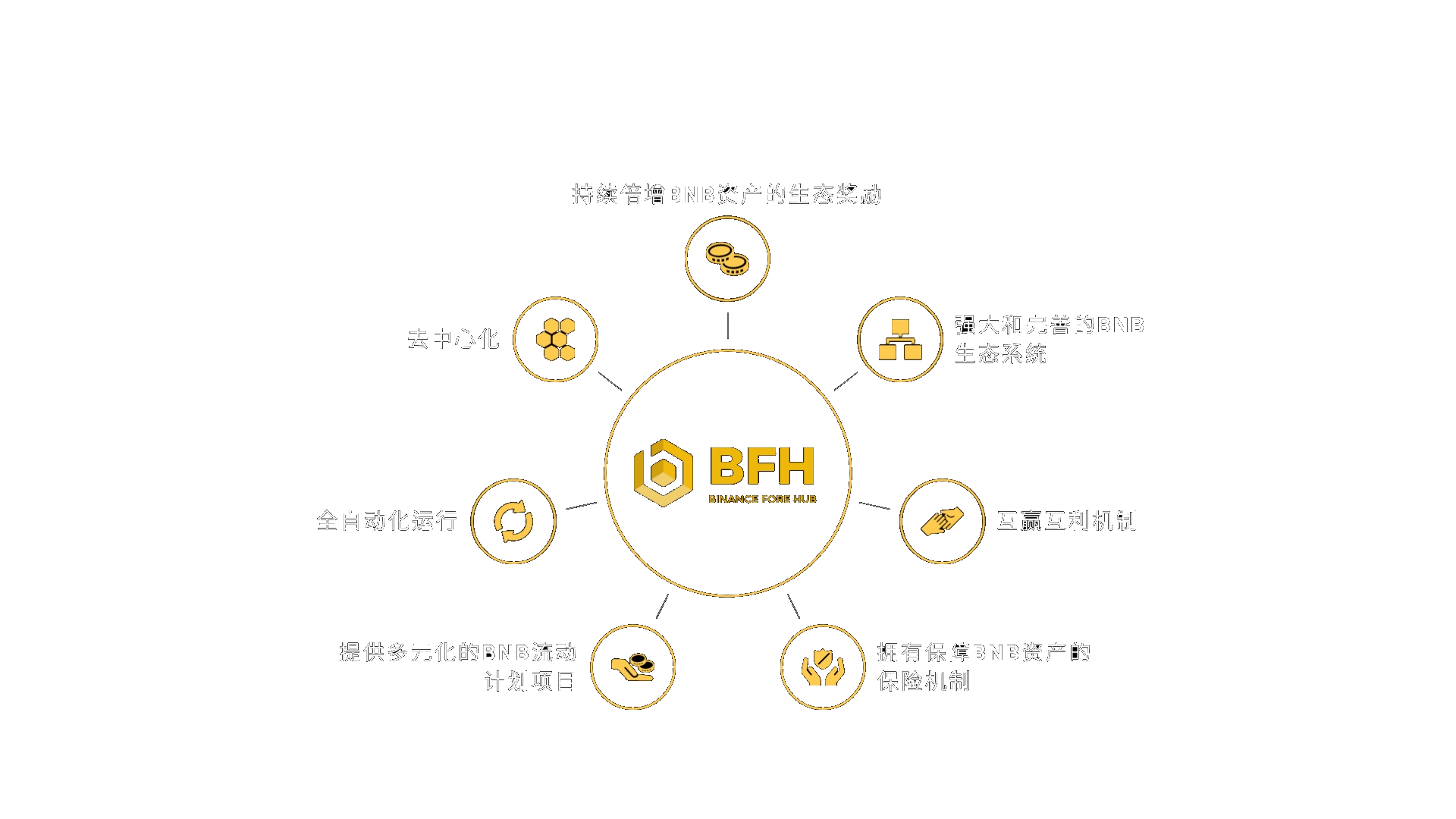 what is bfh