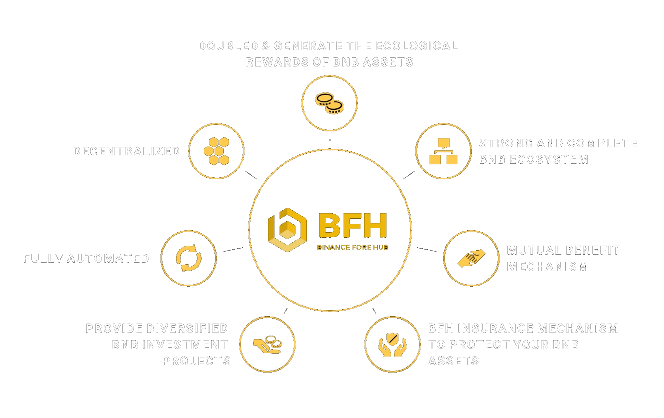 what is bfh